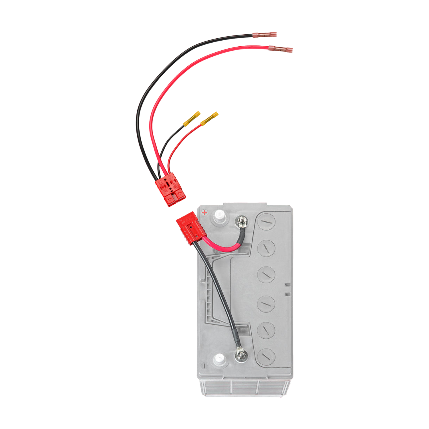 Dakota Lithium 12 Volt Trolling Motor Connection Kit (With On Board Charging)