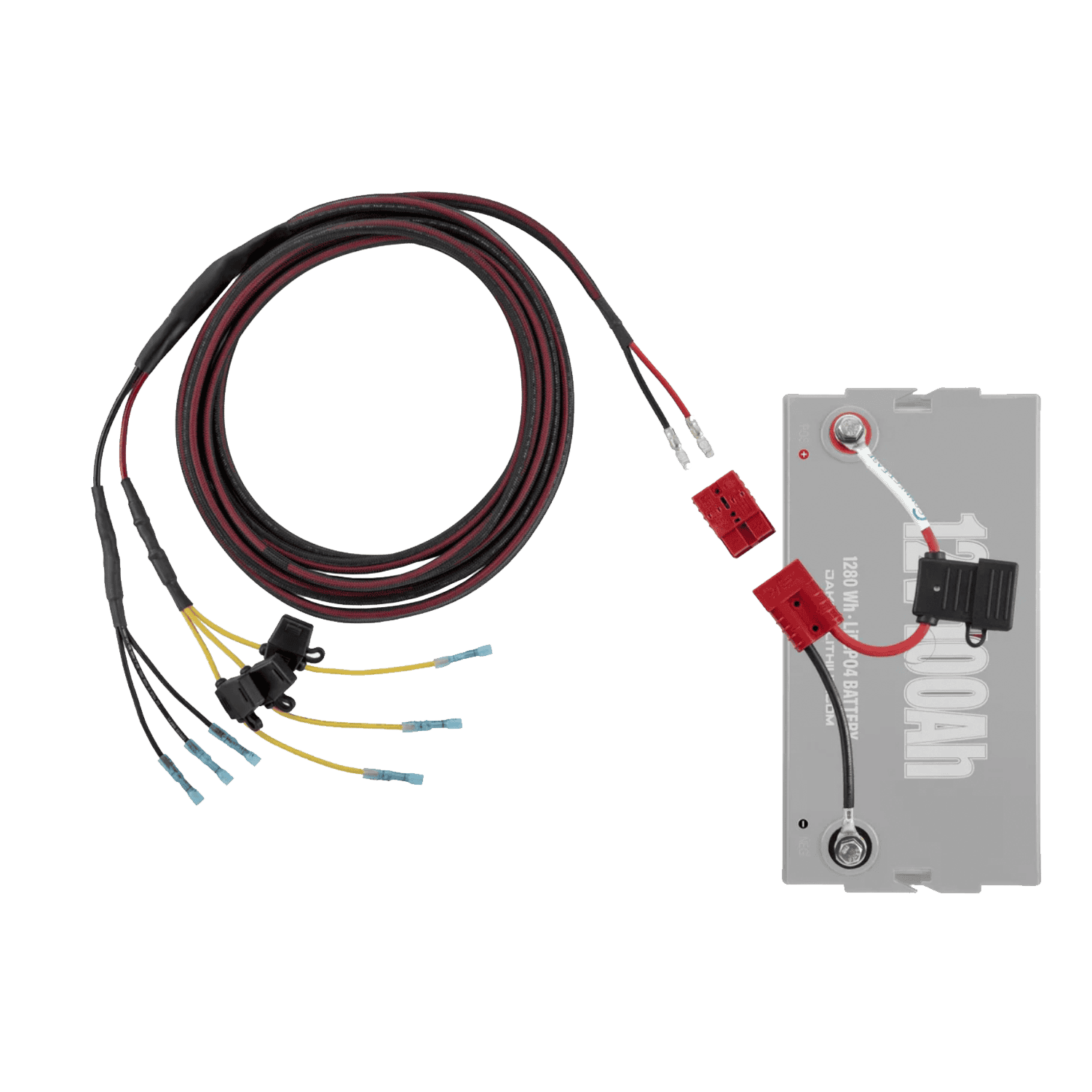 Dakota Lithium GRAPH POWER Tiller Network Wiring Kit