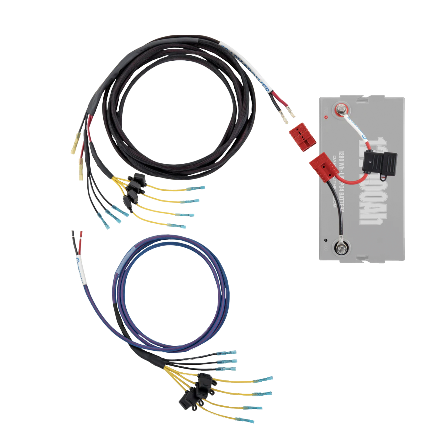 Dakota Lithium GRAPH POWER Rigger Network Wiring Kit